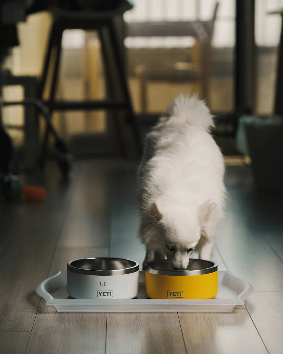 Why Slow Feeding is Key to Your Pet's Health