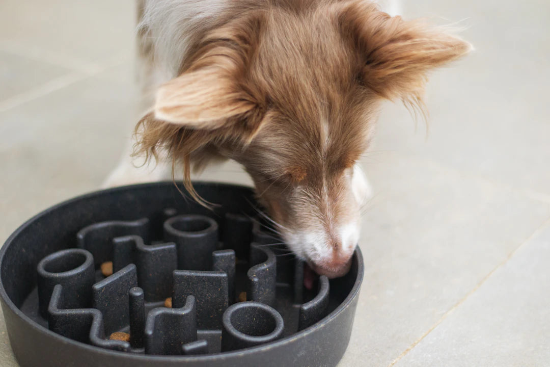 Ceramic Slow Feed Pet Bowls for Healthy Eating Habits