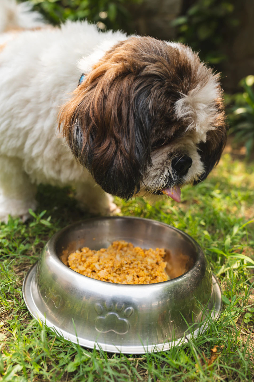 Durable Ceramic Slow Feeders for Medium  Large Dogs