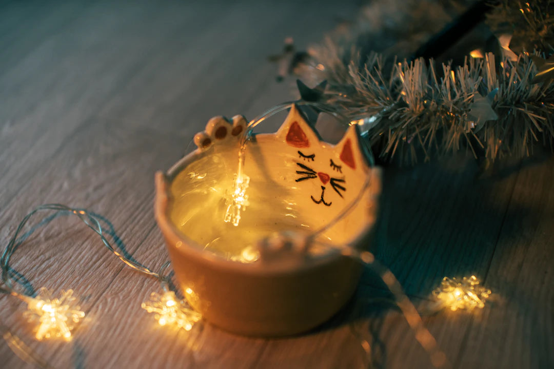 Elevated Ceramic Pet Bowls for Comfortable Feeding