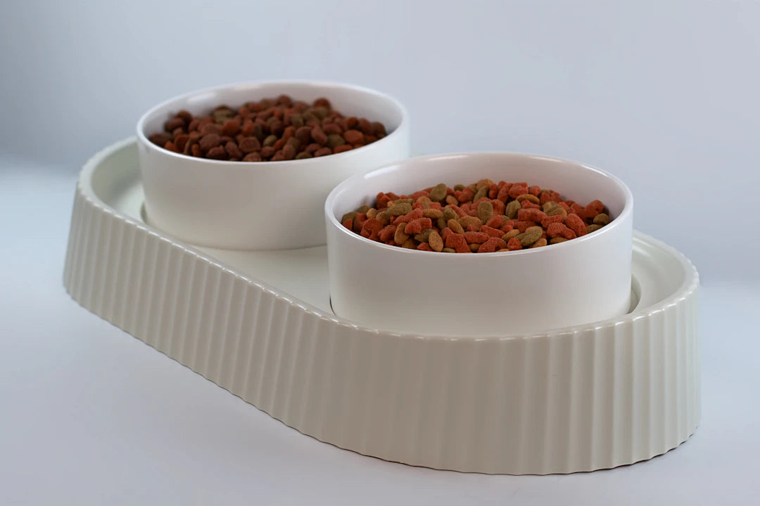 Choosing the Right Bowl Ceramic vs Plastic