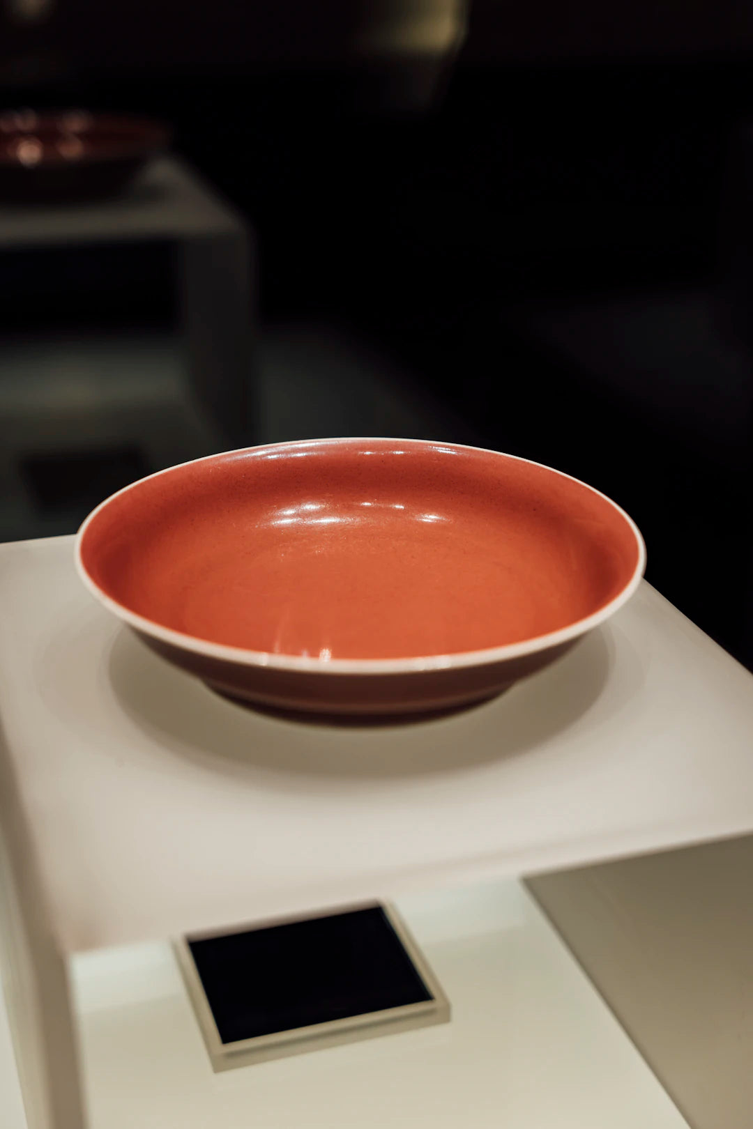 Essential Tips for Caring for Your Ceramic Pet Bowls