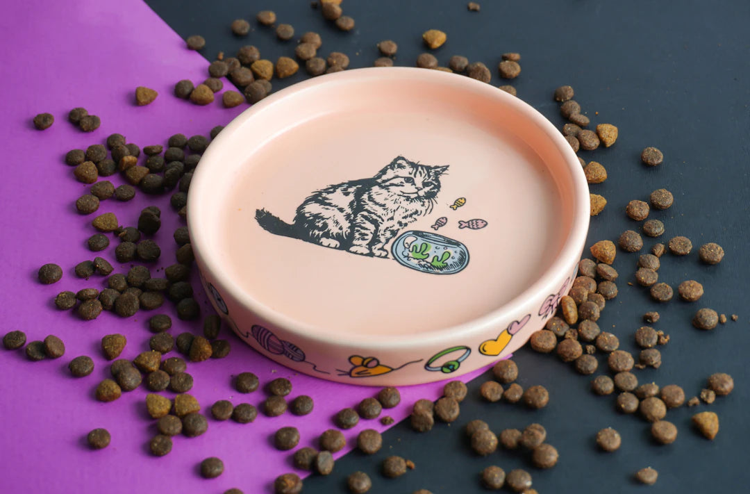 Elevated Ceramic Pet Bowls for Comfortable Feeding