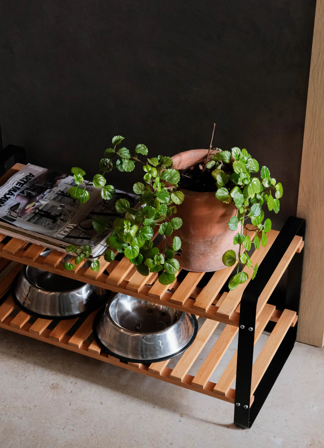Discover Why Ceramic Pet Bowls Are Best for Your Furry Friends