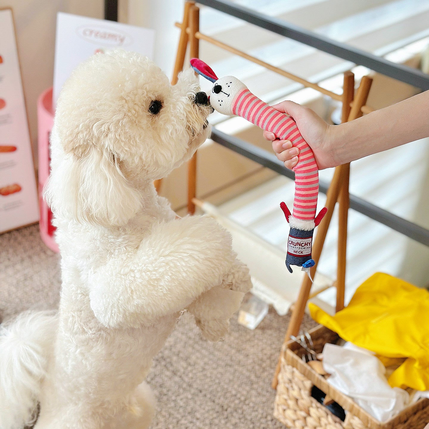 Squeaky Tug Toy for Puppies – Interactive Dog Toy