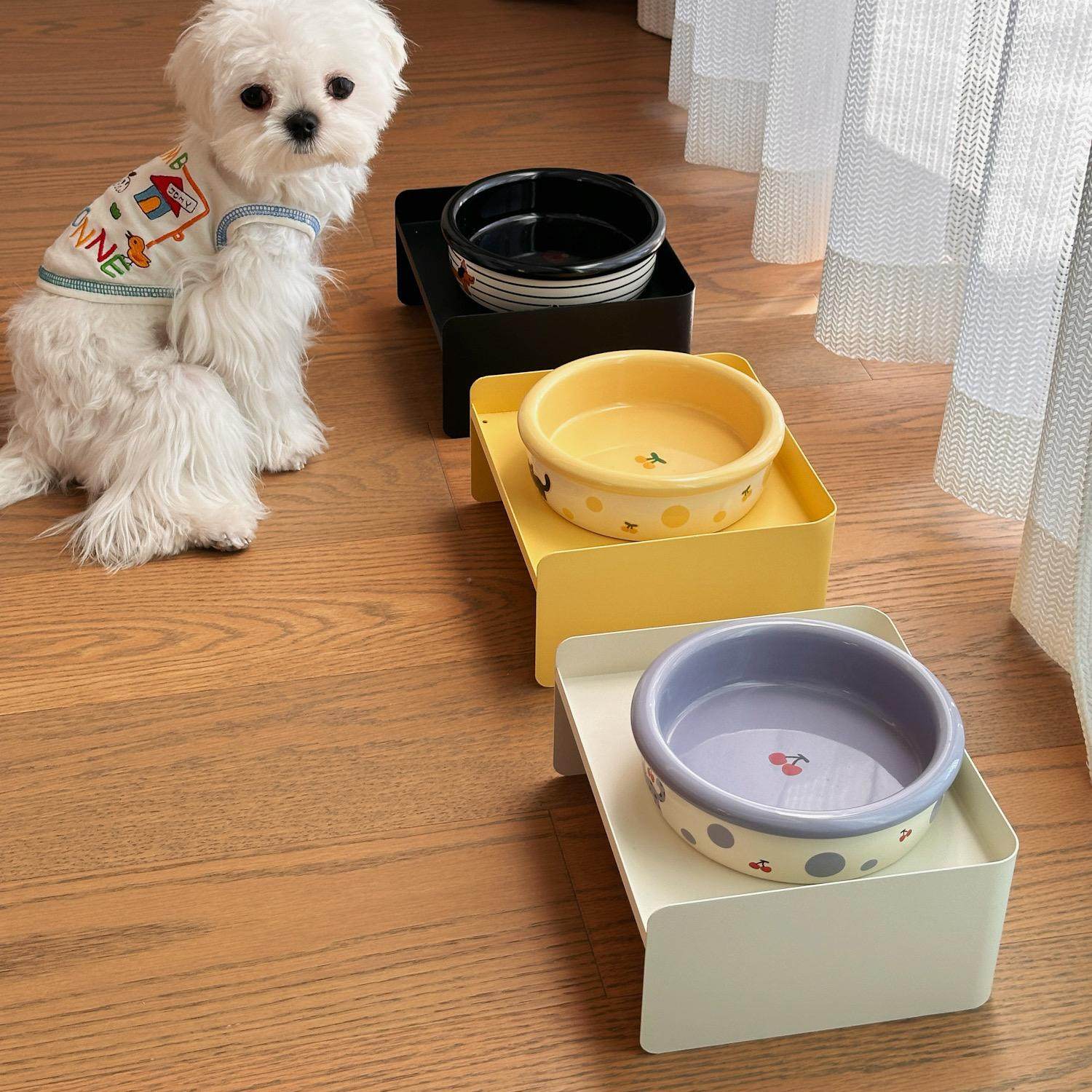 Ceramic Pet Bowl for Cats & Small Dogs – Everyday Feeding Bowl