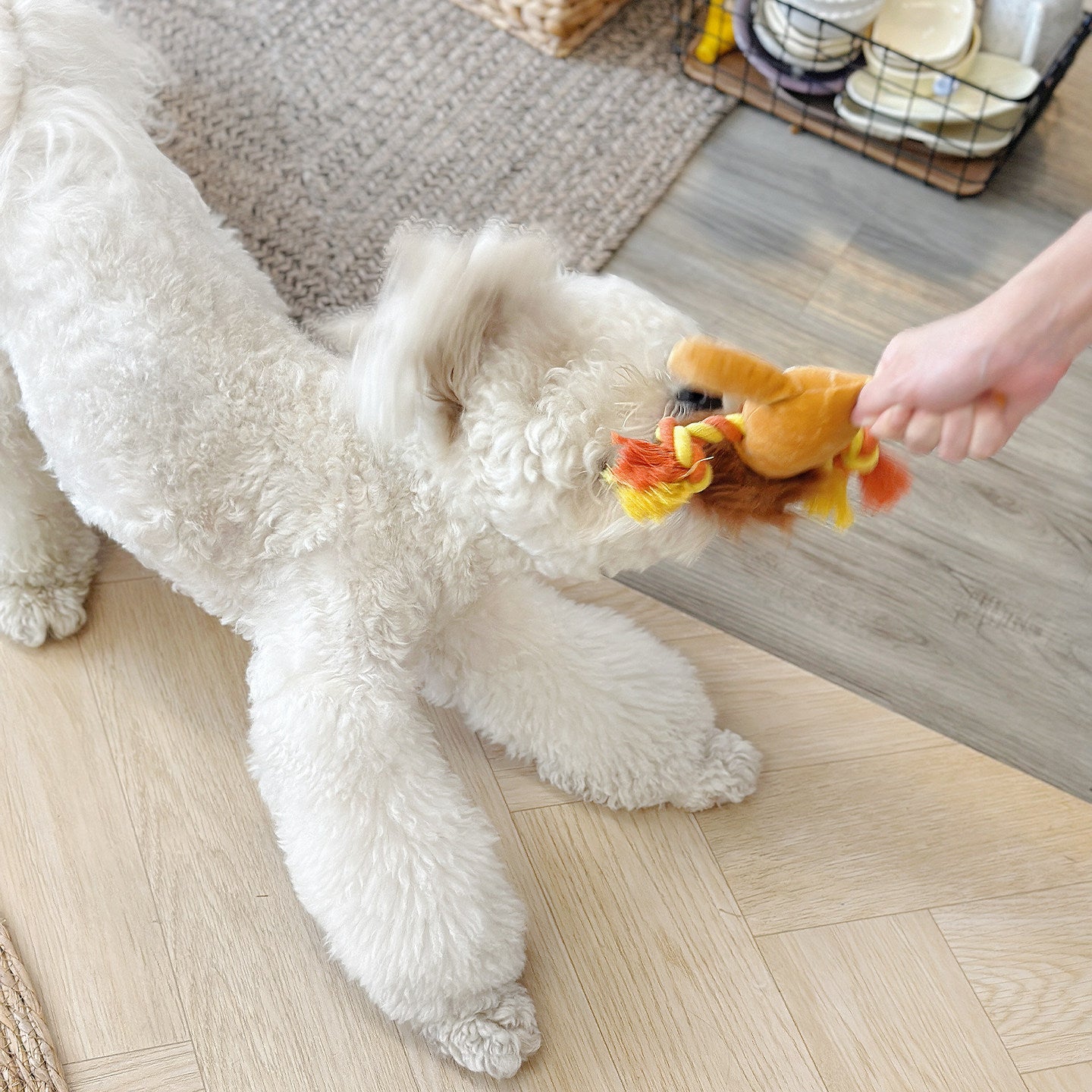 Squeaky Dog Toy with Soft Skin-Friendly Fabric