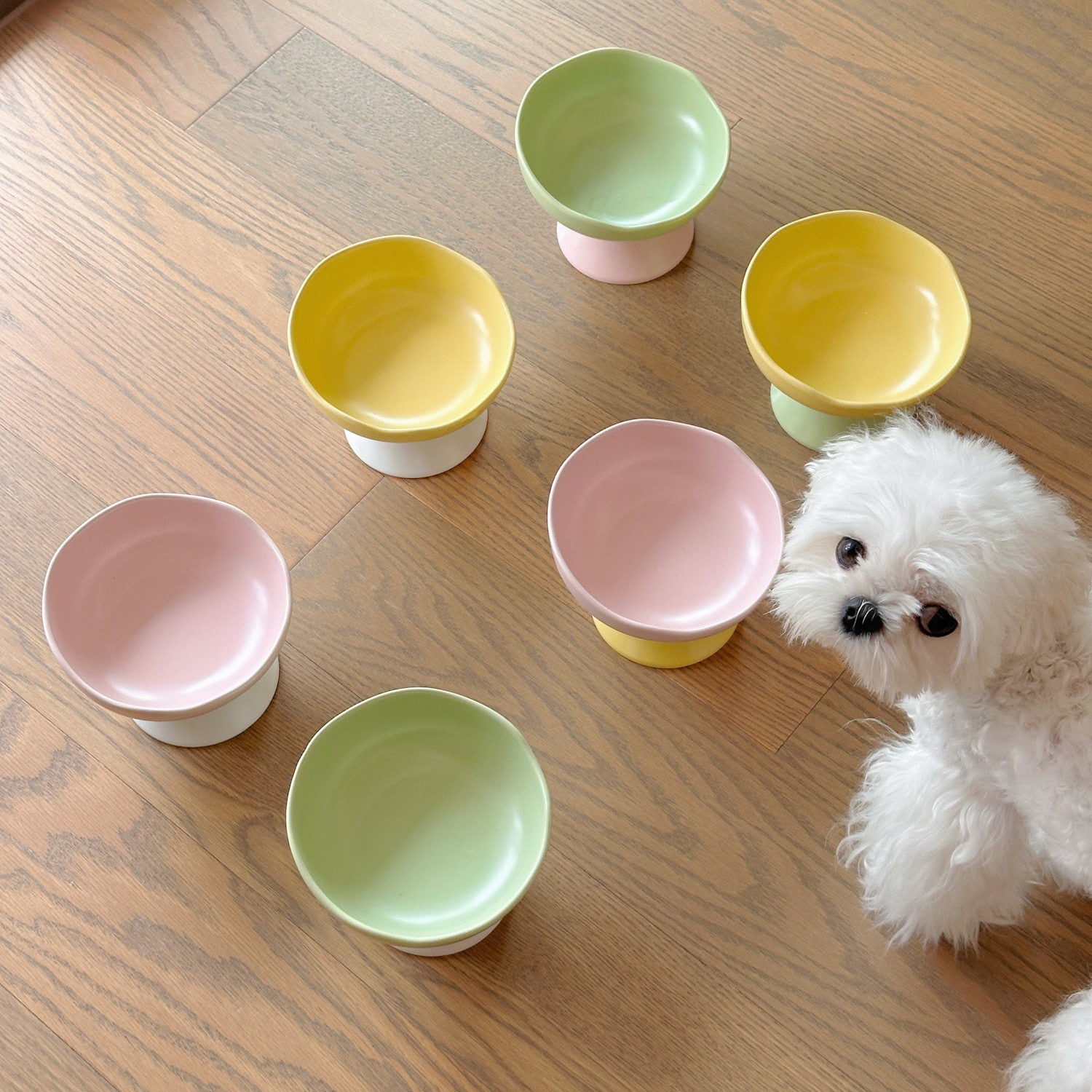 Elevated Ceramic Pet Bowl 250ml – Underglaze Raised Cat & Small Dog