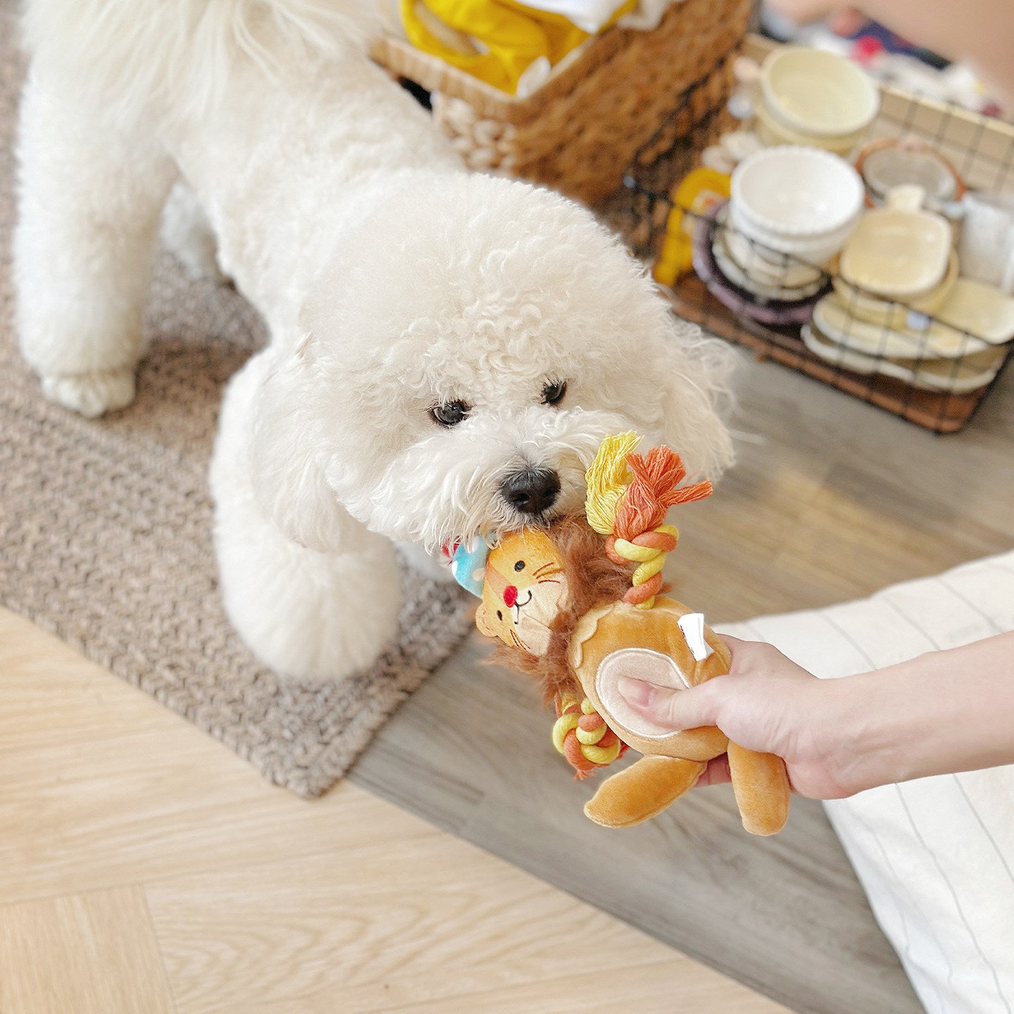 Squeaky Dog Toy with Soft Skin-Friendly Fabric