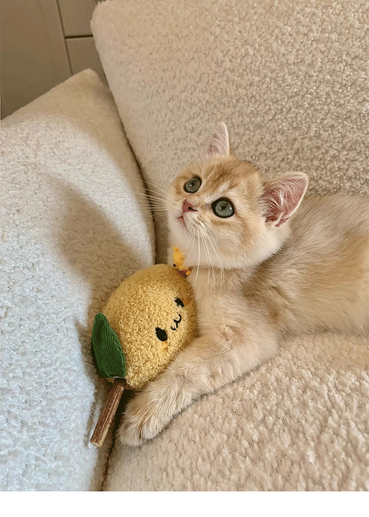 Silvervine Cat Toy – Natural Silvervine Toy for Cats