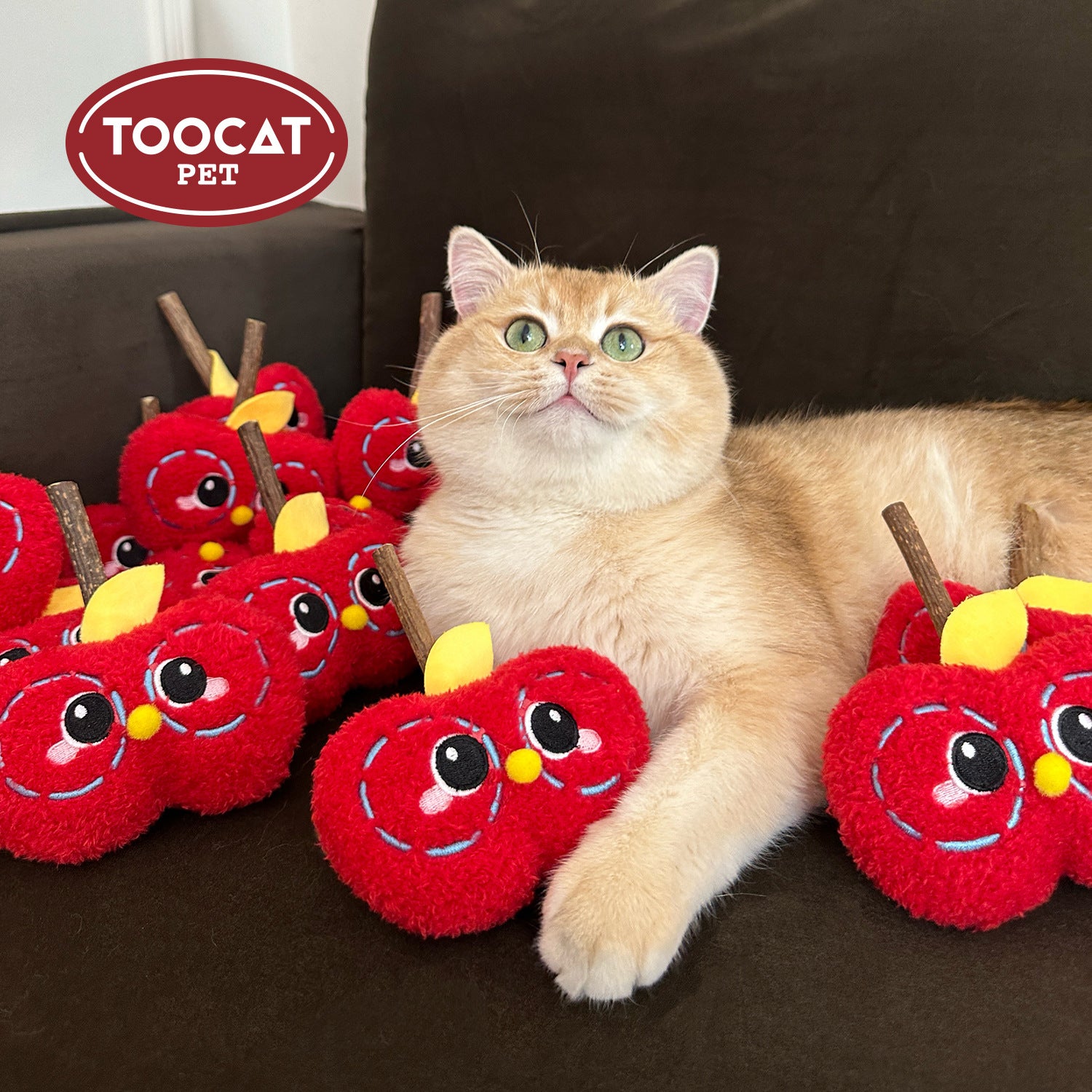 Silvervine Cat Toy – Natural Silvervine Toy for Cats