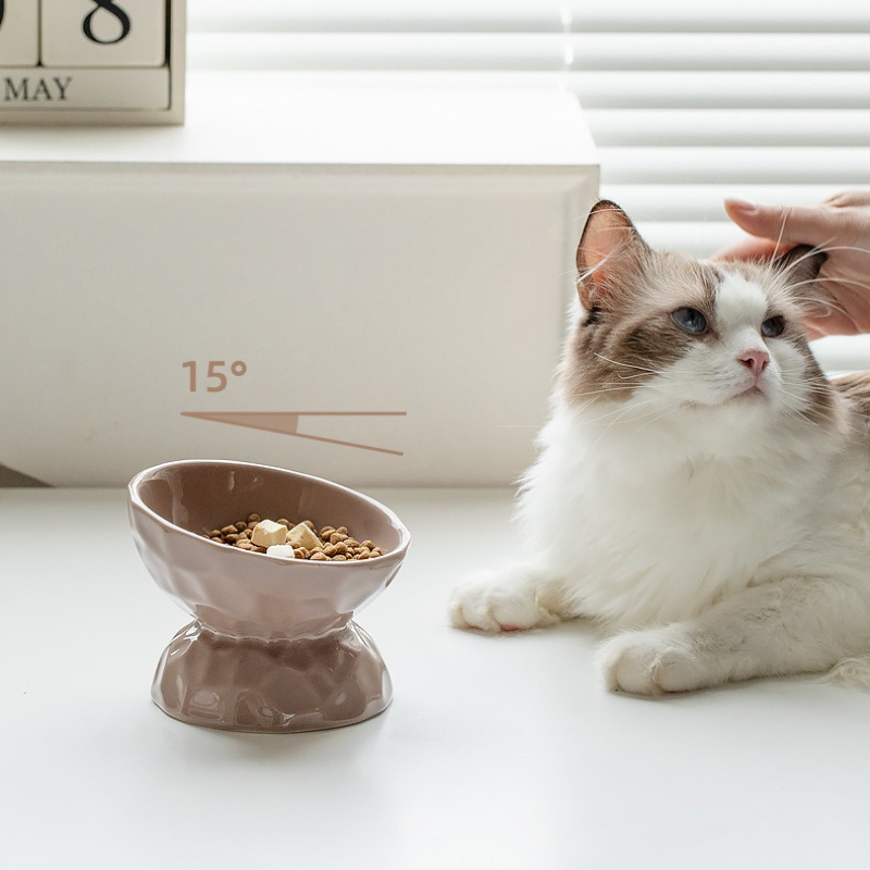 Elevated Tilted Ceramic Pet Bowl – Neck-Friendly Feeder for Cats & Small Dogs