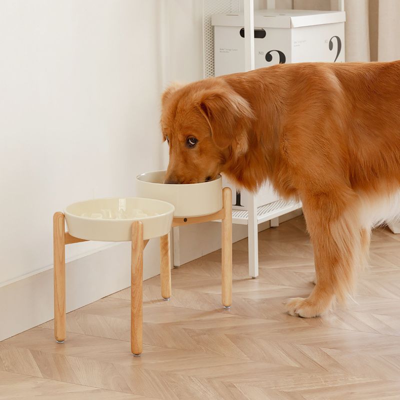 Ceramic Slow Feeder Bowl for All Dog Sizes – Anti-Choking Feeding Bowl