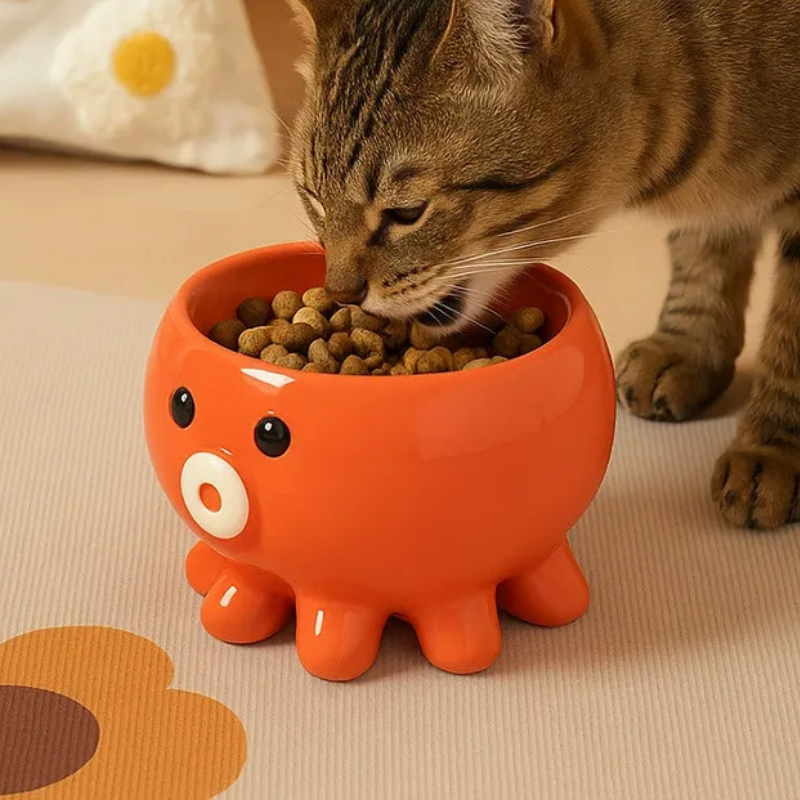 Elevated Ceramic Pet Bowl – Neck-Support Design