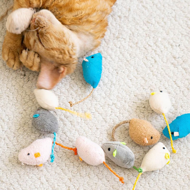 Realistic Mouse Catnip Toy Set – 8 Pack Interactive Cat Toys