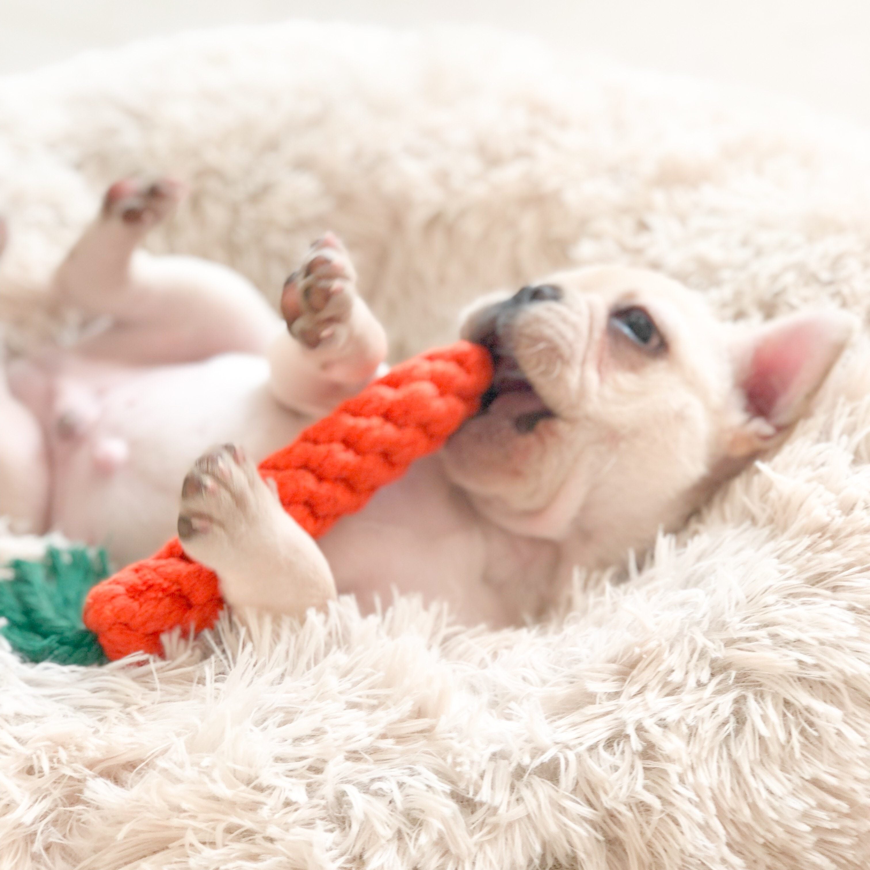 Dog Rope Knot Chew Toy – Carrot & Duck Cotton Rope Toy for Puppies