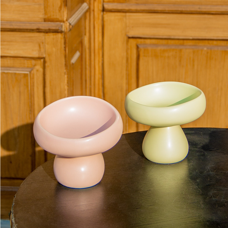 Matte Ceramic Elevated Cat Bowl – Raised Pet Feeding Bowl for Cats