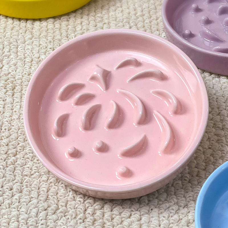 5-Inch Ceramic Slow Feeder Bowl – Low-Difficulty pet Bowl