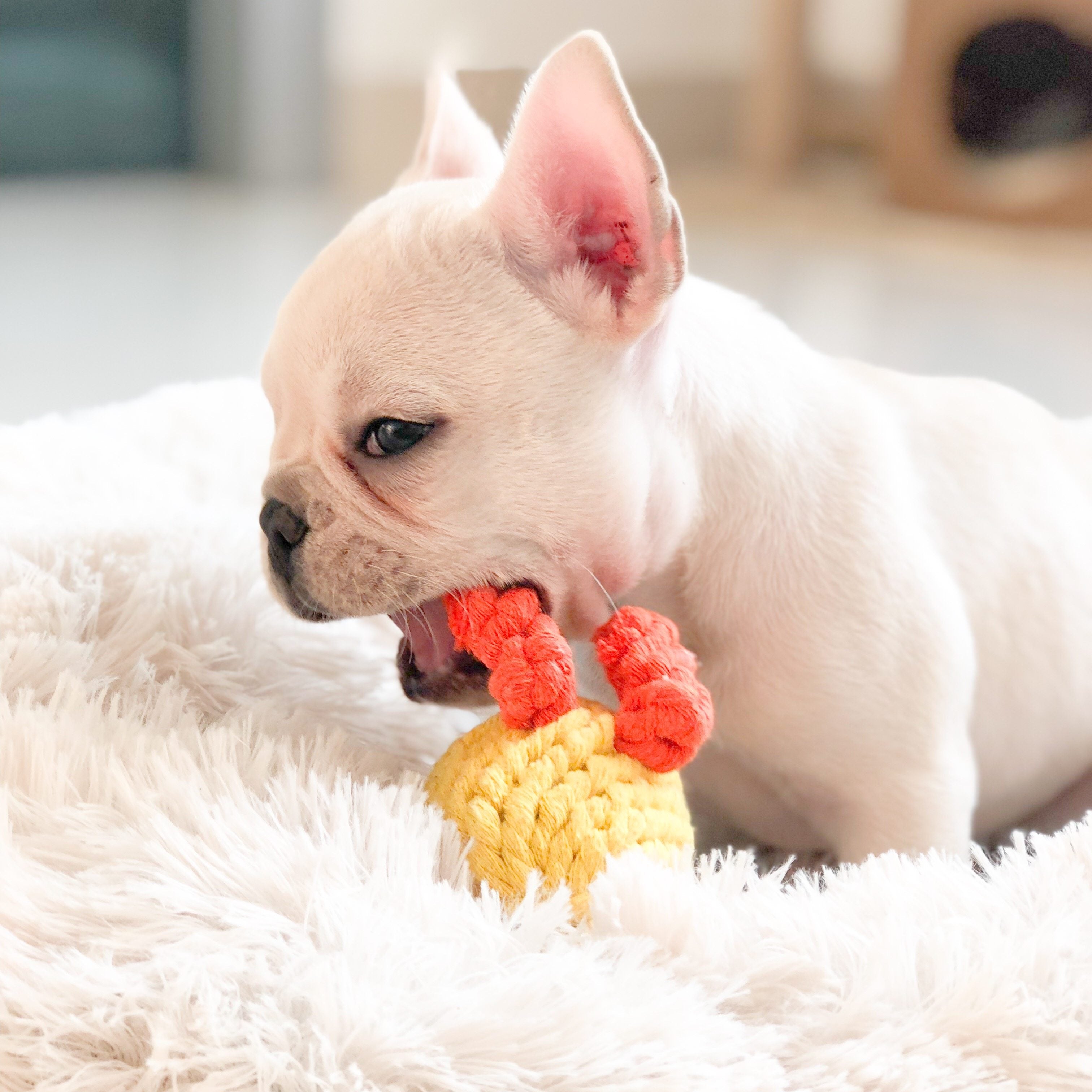 Dog Rope Knot Chew Toy – Carrot & Duck Cotton Rope Toy for Puppies