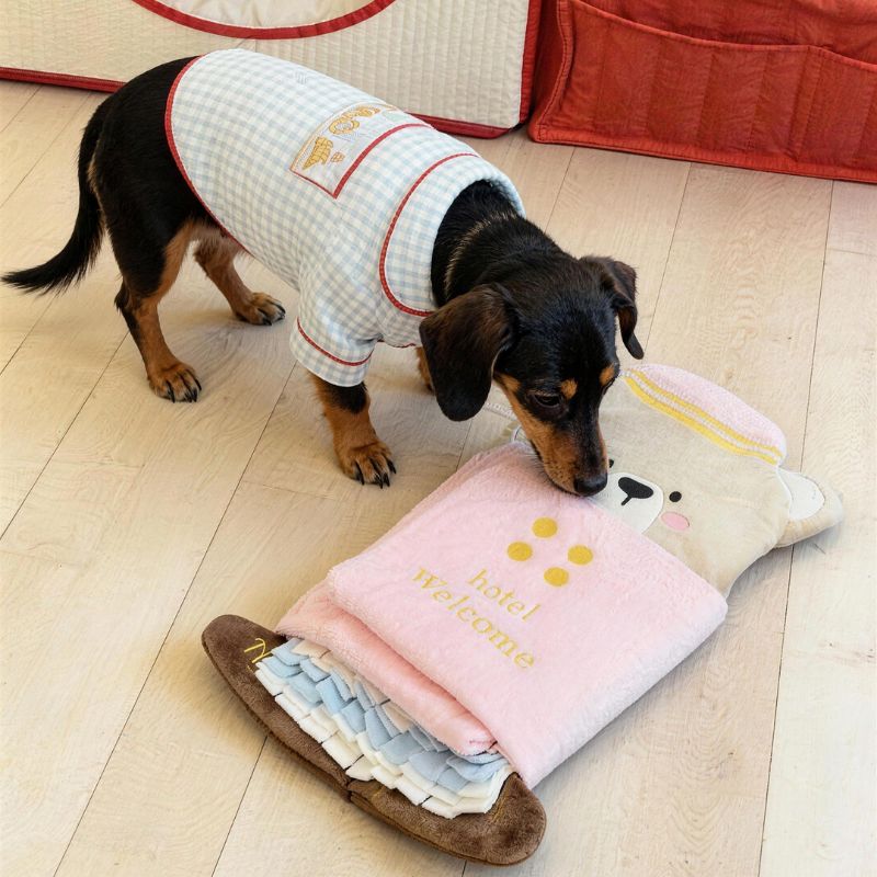 Dog Snuffle Mat – Foraging Nose Work Mat for Dogs, Slow Feeding & Mental Enrichment