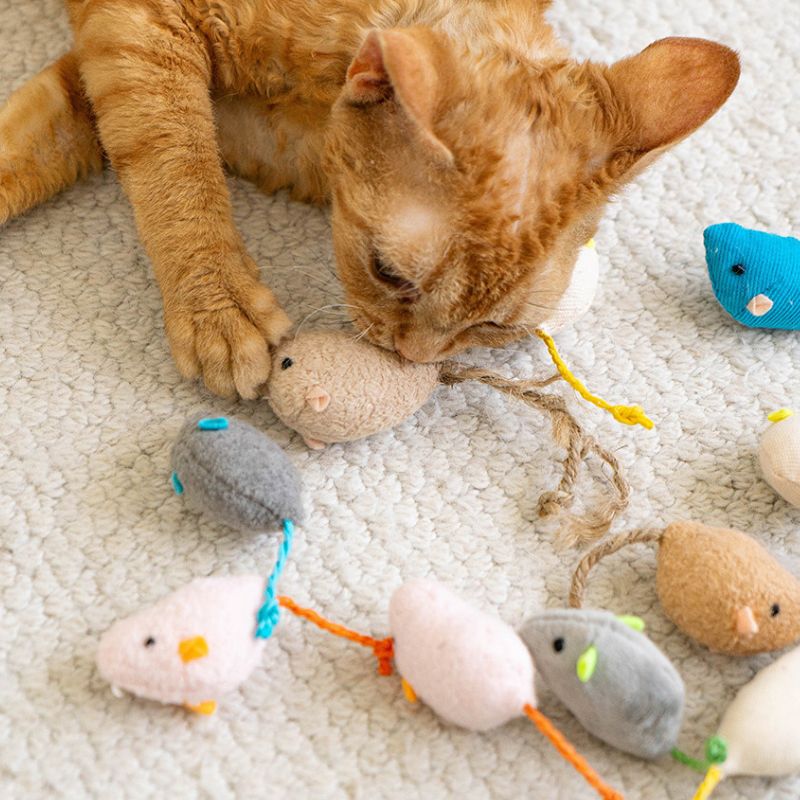 Realistic Mouse Catnip Toy Set – 8 Pack Interactive Cat Toys