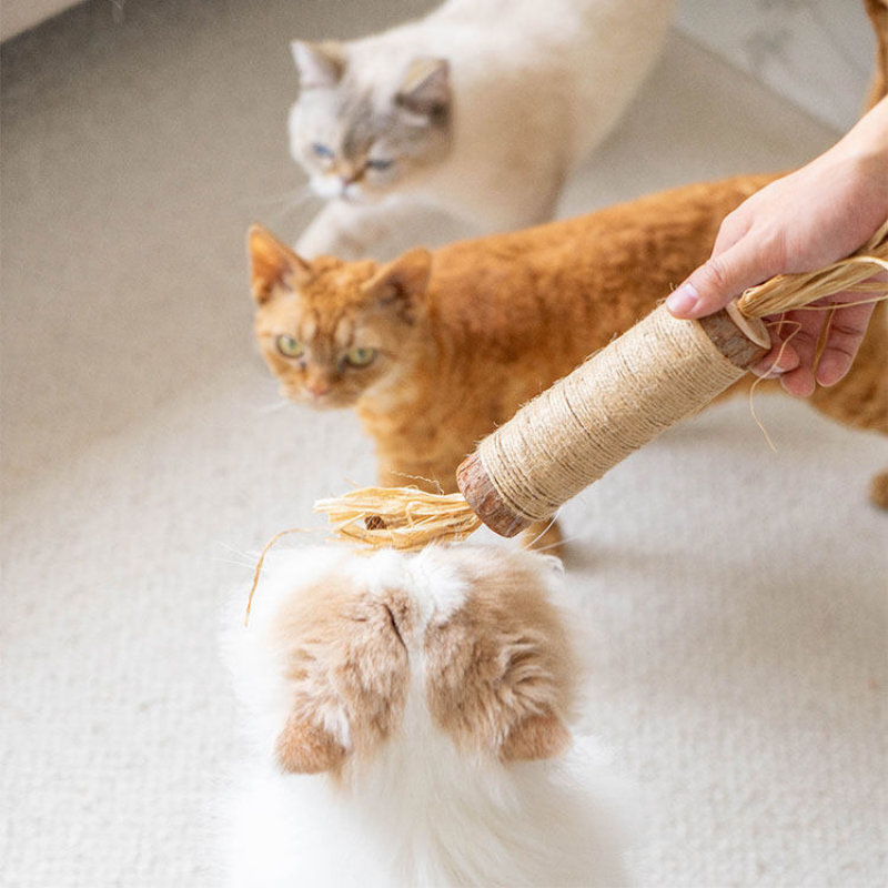 Extra Large Catnip & Silvervine Teaser Stick – Chew & Dental Toy for Cats