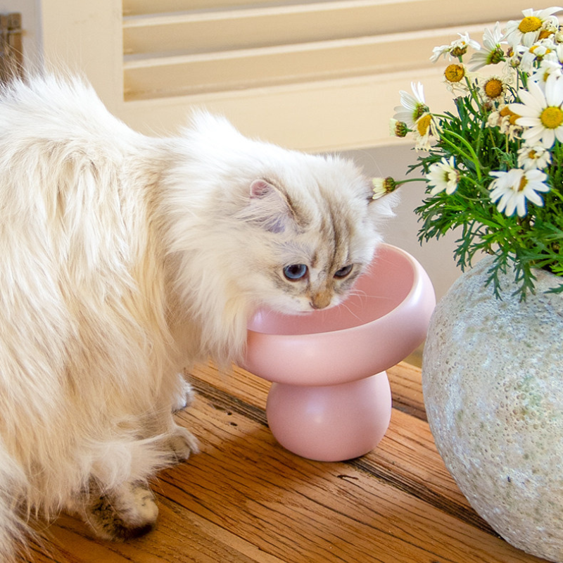 Matte Ceramic Elevated Cat Bowl – Raised Pet Feeding Bowl for Cats