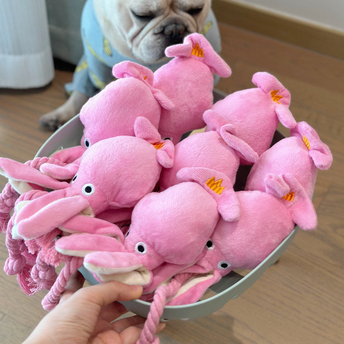 Squeaky Interactive Dog Toy for Daily Play