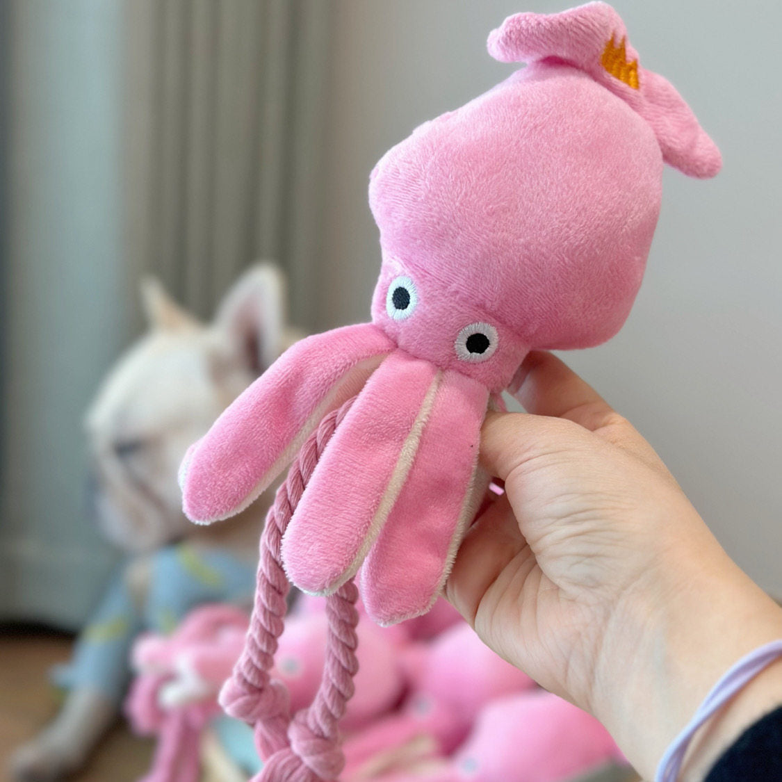 Squeaky Interactive Dog Toy for Daily Play