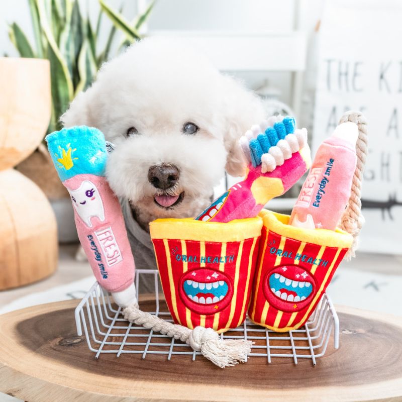 3pcs Durable Squeaky Dog Toy for Small & Medium Dogs