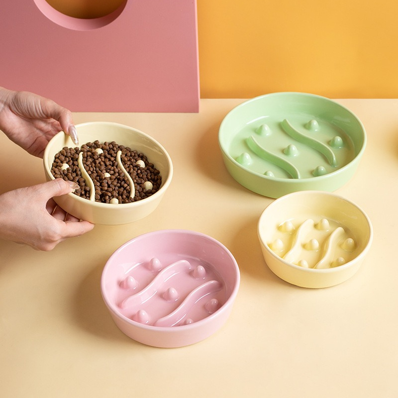 Ceramic Slow Feeder Bowl for Cats and Dogs