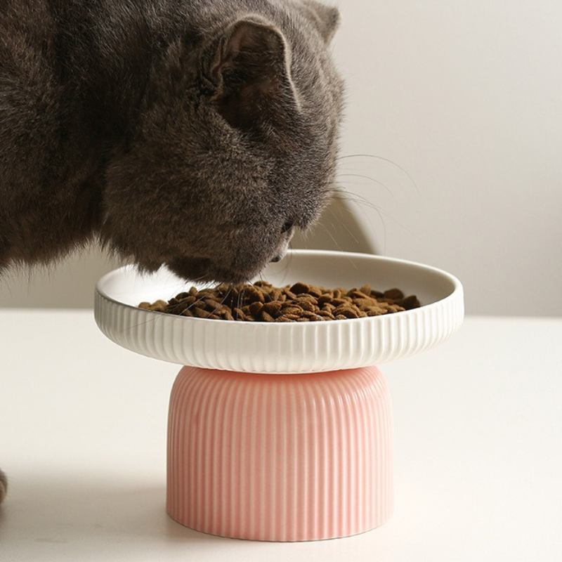 Elevated Ceramic Pet Dish for Cats and Small Dogs