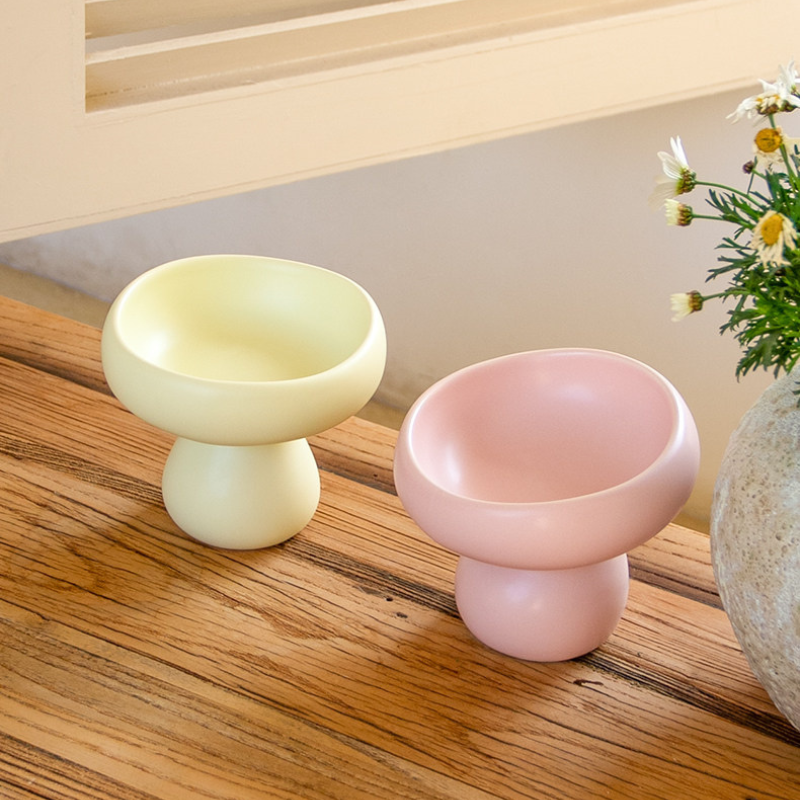 Matte Ceramic Elevated Cat Bowl – Raised Pet Feeding Bowl for Cats