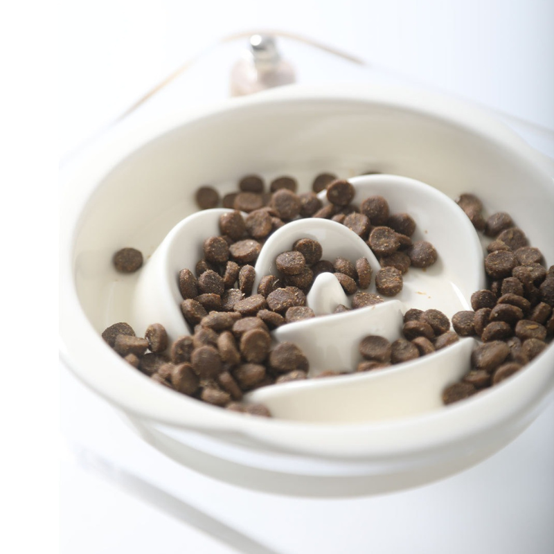 Elevated Ceramic Pet Bowl Set with Acrylic Stand – Slow Feeder Design for Cats & Small Dogs