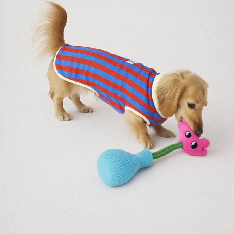 Durable Squeaky Dog Toy – Chew Toy for Dogs, Interactive Pet Toy