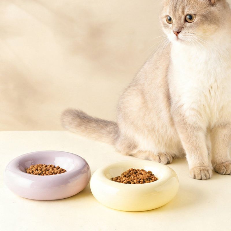 Ceramic Pet Plate with Curved Edge – Slightly Elevated Shallow Dish for Long-Haired Cats