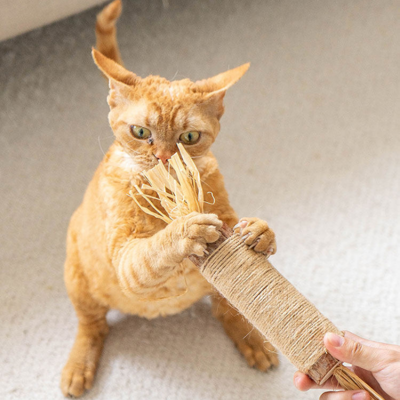 Extra Large Catnip & Silvervine Teaser Stick – Chew & Dental Toy for Cats