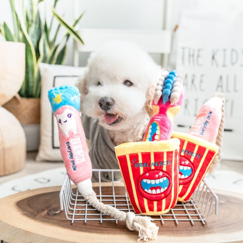 3pcs Durable Squeaky Dog Toy for Small & Medium Dogs