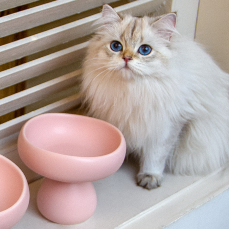 Matte Ceramic Elevated Cat Bowl – Raised Pet Feeding Bowl for Cats