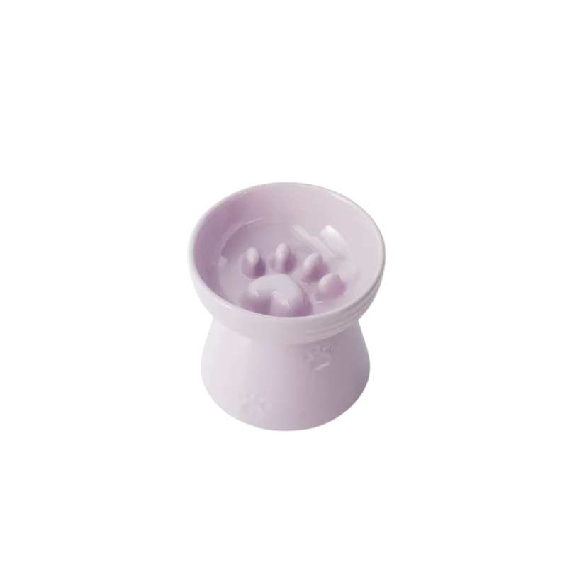 Elevated Ceramic slow Pet Bowl – Neck-Support Design,  Ideal for Cats & Small Dogs