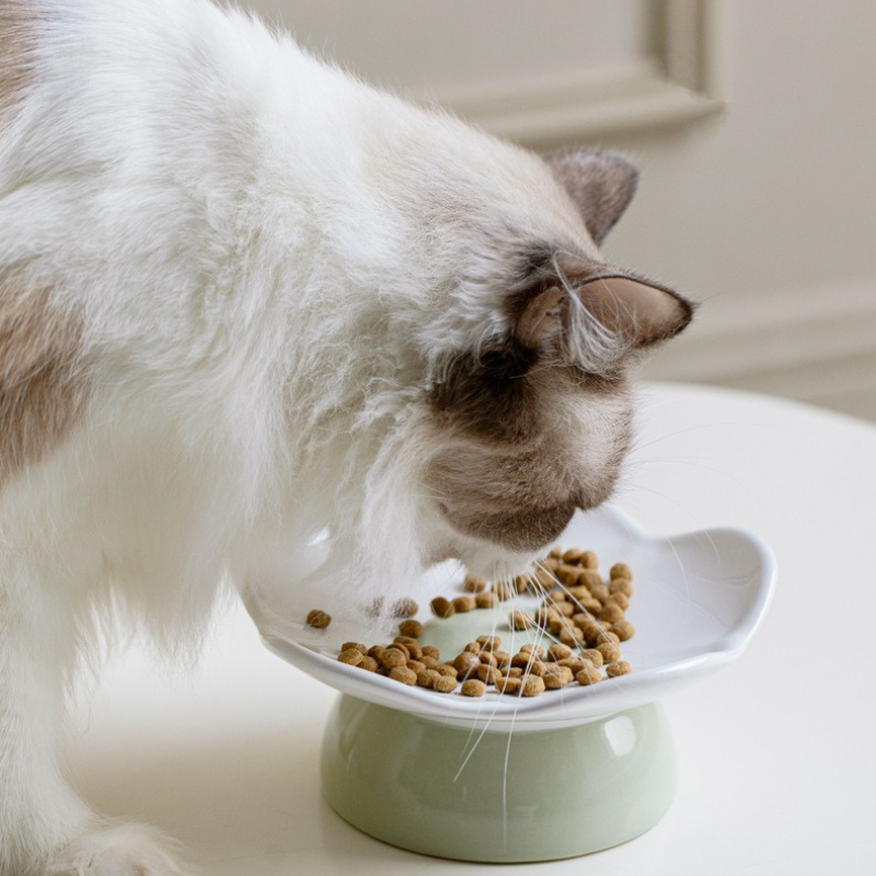 Elevated Ceramic Cat Dish (Shallow Plate)
