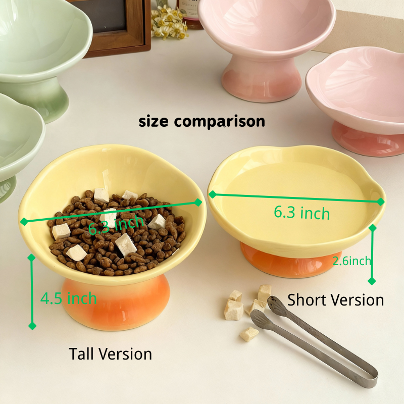 Elevated Wide Ceramic Pet Bowl – 250ml Raised Bowl for Cats & Small Dogs
