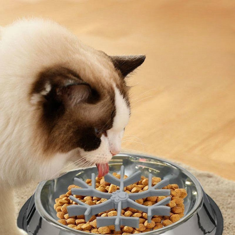 Dog Slow Feeder Bowl – Anti-Choking Pet Food Bowl for Puppies, Small Dogs & Cats