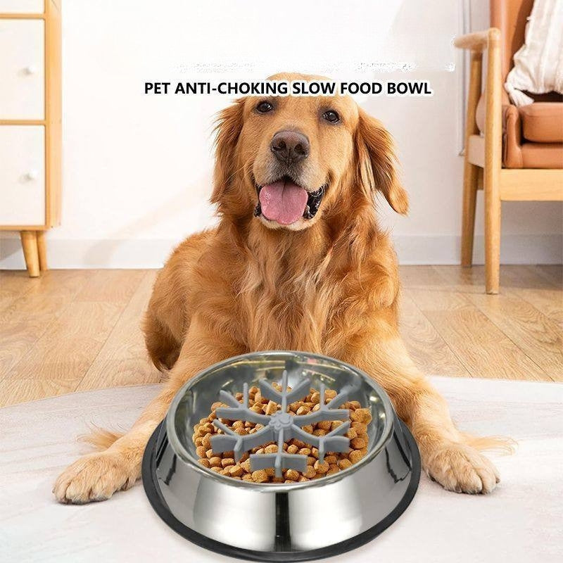 Dog Slow Feeder Bowl – Anti-Choking Pet Food Bowl for Puppies, Small Dogs & Cats