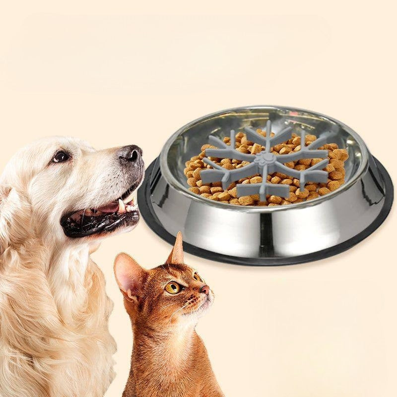 Dog Slow Feeder Bowl – Anti-Choking Pet Food Bowl for Puppies, Small Dogs & Cats