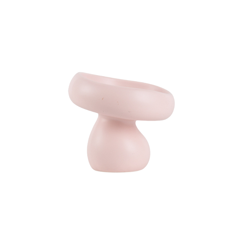 Matte Ceramic Elevated Cat Bowl – Raised Pet Feeding Bowl for Cats