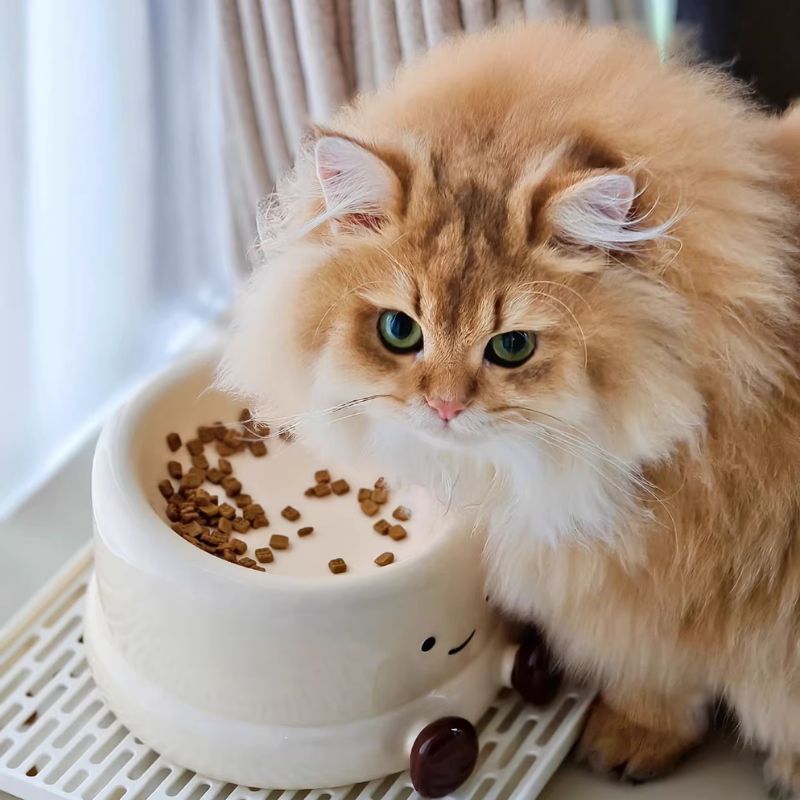 Elevated Ceramic Pet Bowl for Cats & Small Dogs