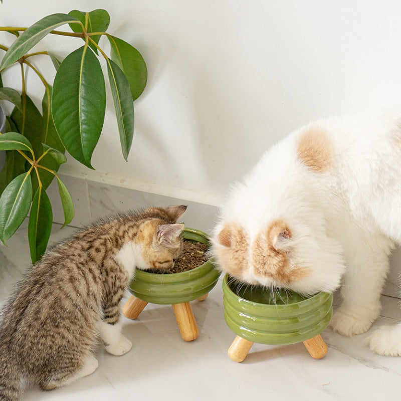 Ceramic Elevated Cat Bowl with Wooden Stand – Neck Support Food & Water Bowl for Cats