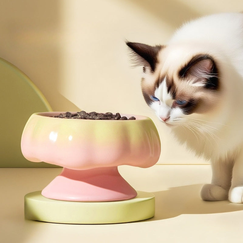 Ceramic Cat Bowl – Tilted Anti-Spill Pet Bowl for Cats, Neck-Friendly Food & Water Dishv