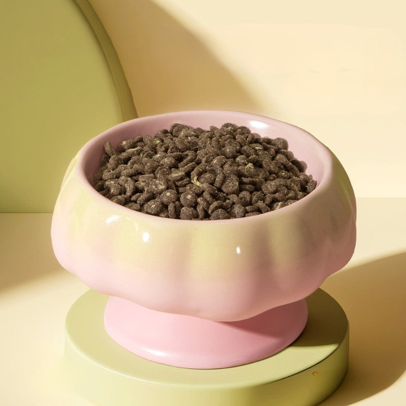 Ceramic Cat Bowl – Tilted Anti-Spill Pet Bowl for Cats, Neck-Friendly Food & Water Dishv